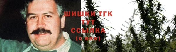 индика Пролетарск