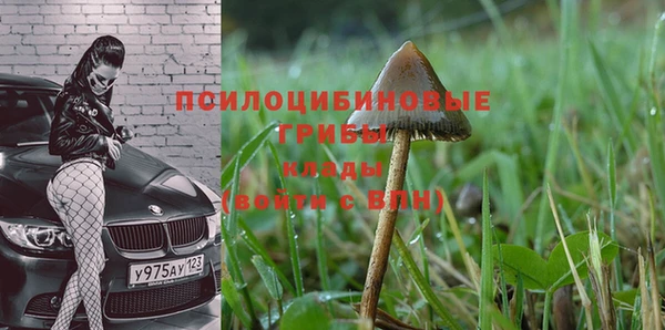 PSILOCYBIN Протвино